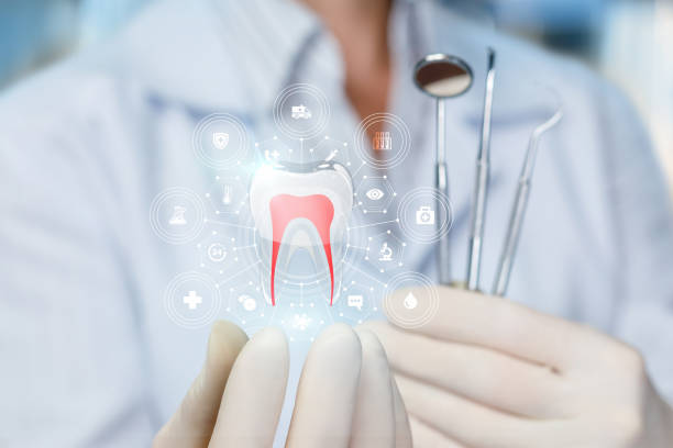 Best Dental X-Rays and Imaging  in River Grove, IL